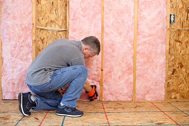 Best Insulation Contractor Near Me  in Bonney Lake, WA